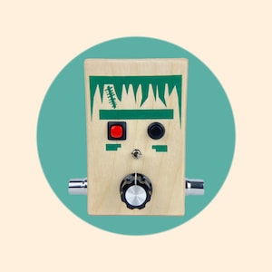 Voice Recorder Sound Toy with Delay Effect And Loop Switch | Frankie