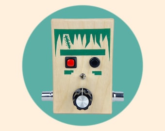 Voice Recorder Sound Toy with Delay Effect And Loop Switch | Frankie