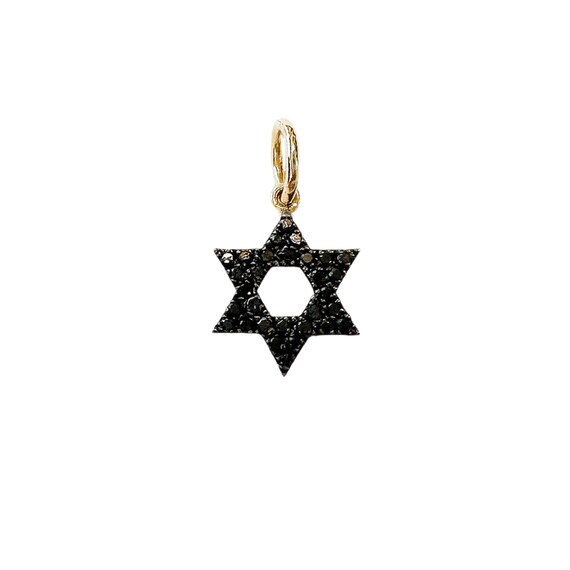 ジュエリー ペンダント ダビデの星 星 デザイン ブラックダイア 天然ダイヤモンド 4月誕生石 10金ホワイトゴールド 小サイズ ダビデの星ネックレス、ブラックダイヤモンドネックレス、ユダヤ教、星