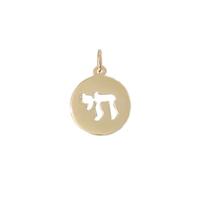 14K Solid Gold Hebrew Chai Charm Medallion Dangle Pendant (Real Solid Gold Judaica Adonai Religious Jewish Symbol Coin Charm Pendants)