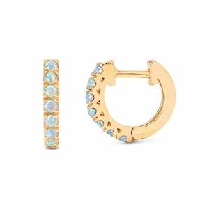 May include: Two gold hoop earrings. Each earring features a row of small, round, opalescent stones. The earrings have a hinged closure. The gold has a polished finish, and the stones have a subtle, iridescent sheen. The earrings are set against a white background.