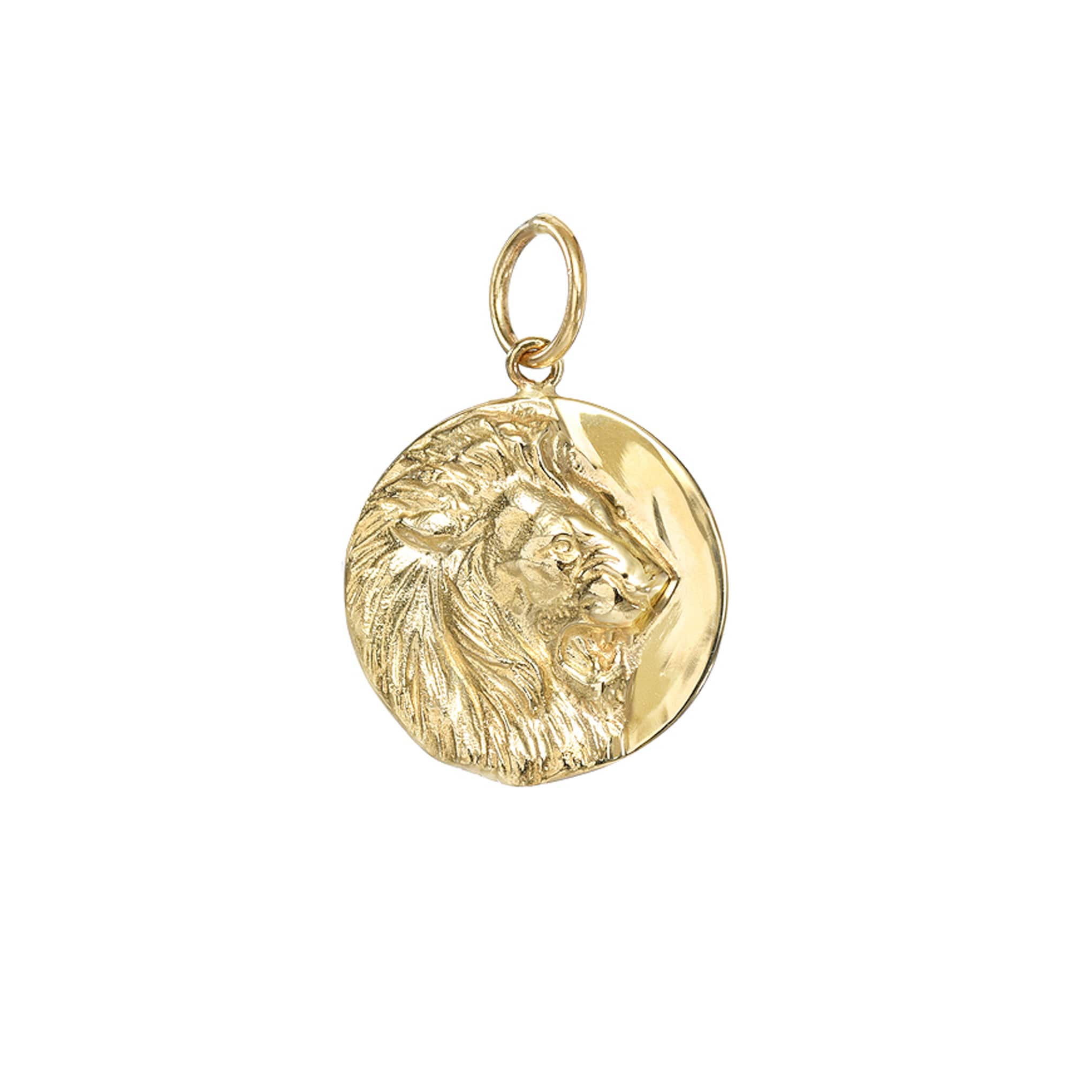 Gold Lion Medallion Etsy Canada