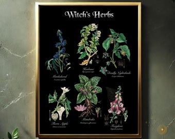 Witch's Herbs Illustration - Giftpflanzen Illustration (Digital JPEG)
