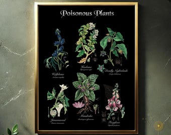 Poisonous Plants Botanical Print – Dark Academia Decor (Digital JPEG)