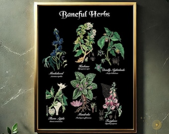 Baneful Herbs Botanical Illustration – Dark Academia Art (Digital JPEG)