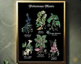 Lámina botánica de plantas venenosas – Dark Academia Decor (JPEG digital)