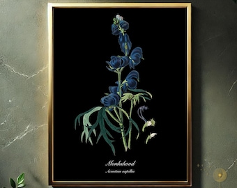Monkshood Botanical Print – Aconitum napellus, Dark Academia Poisonous Plant Art (Digital Download)