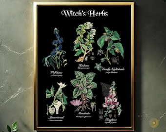 Witch's Herbs Botanical Art Print – Vintage Poison Garden Illustration (Digital JPEG)