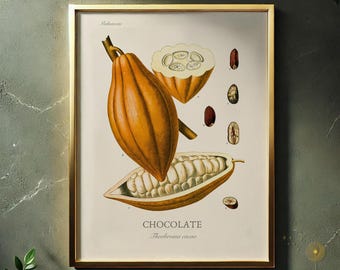 Impresión botánica de cacao, Theobroma cacao, planta del chocolate (descarga digital)