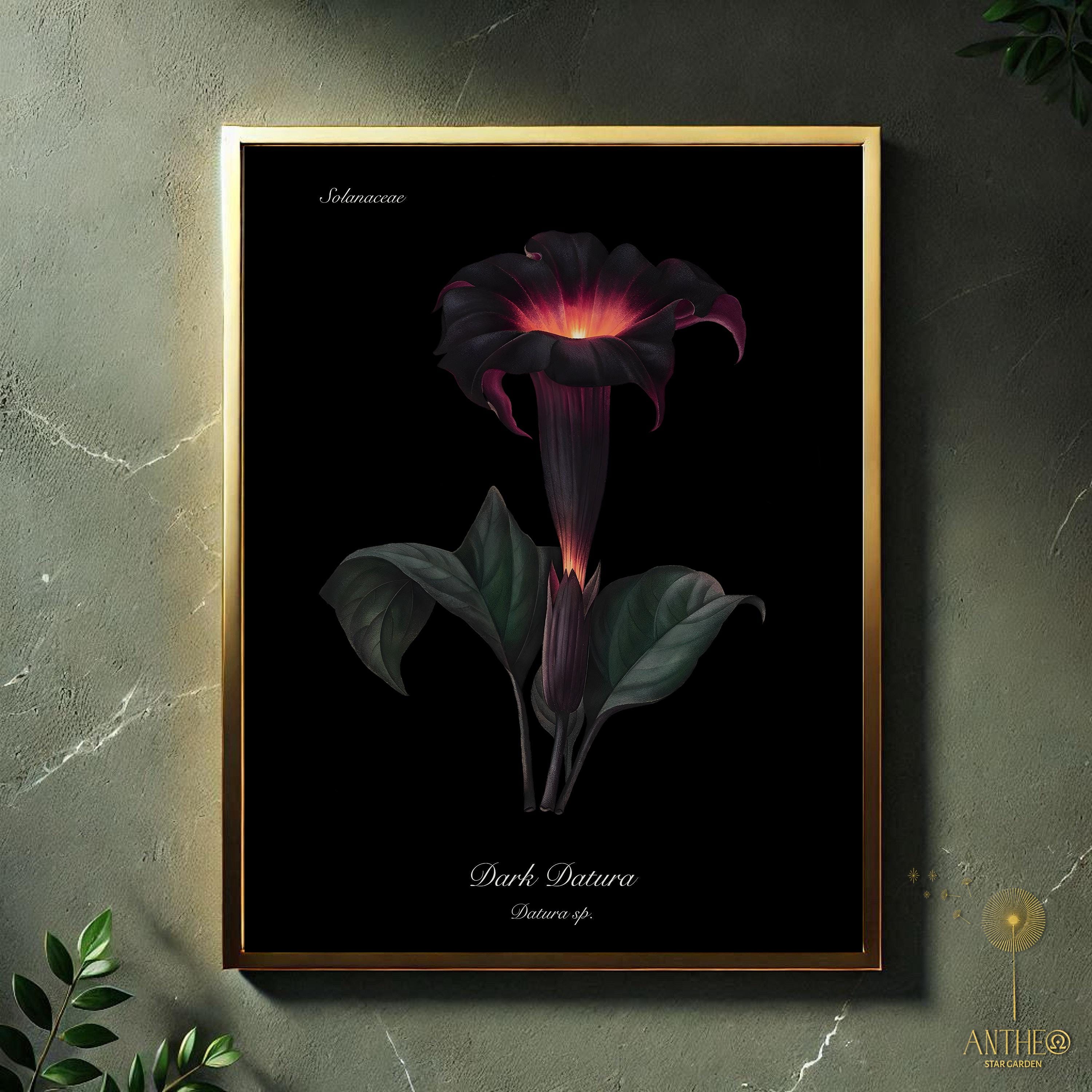 Dark Datura Printable, Black Background Glowy Poisonous Flower