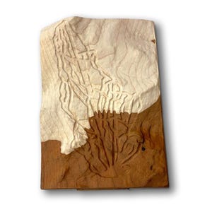 May include: A rectangular wooden carving with a two-tone design. The top portion is light-colored with carved lines, while the bottom is a darker brown with a textured, tree-like pattern. The piece is mounted on a small stand.