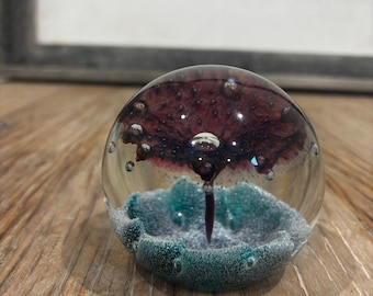 Caithness Scotland Brunnen Kunst Glas Briefbeschwerer Signiert Nummeriert 0287