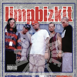 Limp Bizkit Trading Card (alternate version)– Nu-Metal Fan Art Collectible w/ QR Code – Fred Durst Tribute – Early 2000s Band Merch Inspired