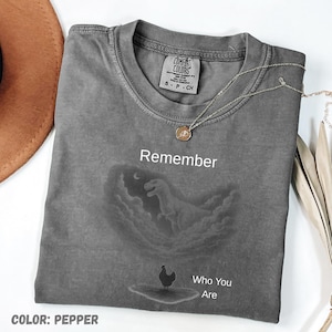 Kom ihåg vem du är i komfortfärger, rolig evolution-skämt, meme-skjorta, kycklingdinosaurie-tröja