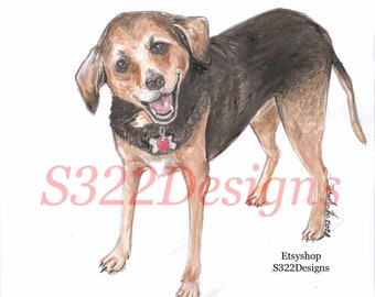 Custom single dog illustration from photo in color