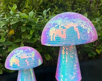 Specchio arcobaleno / Decorazione riflettente iridescente