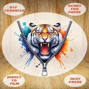 Roaring Tiger Mascot DTF Transfer: Football Team Heat Press