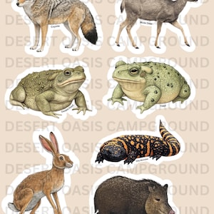 Sonoran Desert Animal Stickers