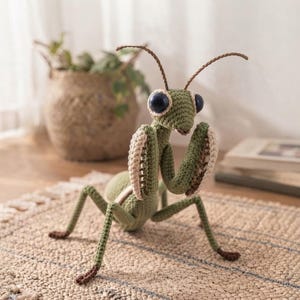 May include: A crocheted praying mantis figurine crafted from green yarn with dark brown antennae and feet. The insect features large, round, dark blue eyes and folded front legs with cream-colored textured details on the inner segments.