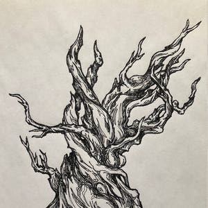 Bristlecone III (3 van 3)
