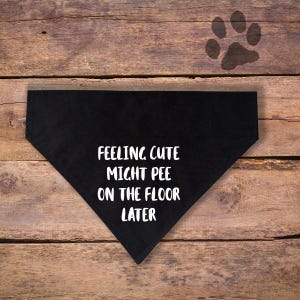May include: Black dog bandana with the text "FEELING CUTE MIGHT PEE ON THE FLOOR LATER" in white. The bandana is triangular and rests on a wooden surface. A paw print is visible in the upper right corner.