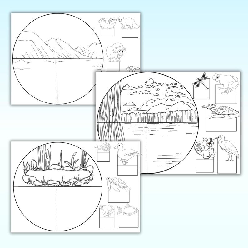 Animal Habitats Diorama Craft | 3D Biomes Triorama Project (digital) - Etsy