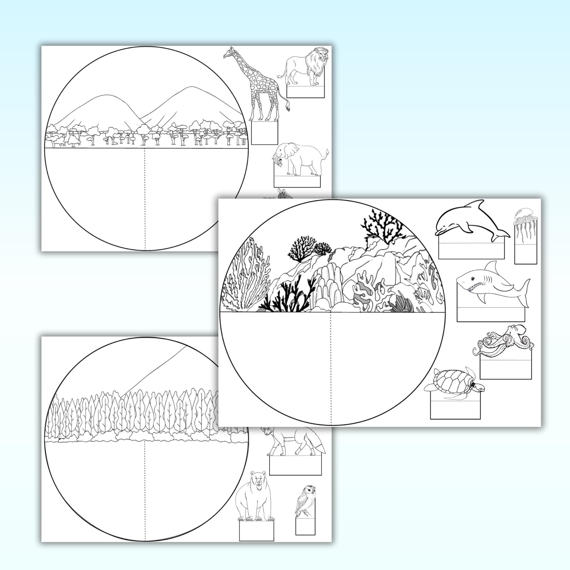 Animal Habitats Diorama Craft | 3D Biomes Triorama Project (digital ...
