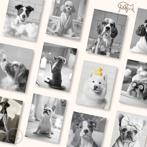 Puede incluir: Una colecci&oacute;n de fotograf&iacute;as en blanco y negro que presentan varios perros en entornos de ba&ntilde;o. Algunos perros est&aacute;n en ba&ntilde;eras con burbujas, mientras que otros est&aacute;n envueltos en toallas o llevan accesorios como un patito de goma o un lazo.
