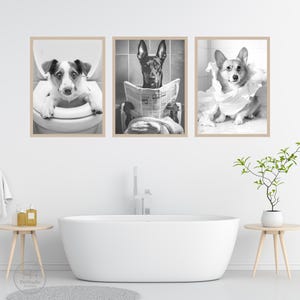 Puede incluir: Tres retratos de perros en blanco y negro enmarcados. Uno muestra un perro en un inodoro, otro un perro leyendo un peri&oacute;dico y el tercero un perro envuelto en papel higi&eacute;nico. Los retratos se muestran encima de una ba&ntilde;era blanca.