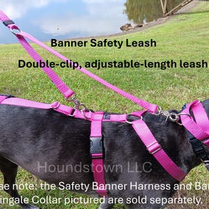 Houndstown Banner Safety Leash, 24 Colors, 1" Width, Nickel Hardware