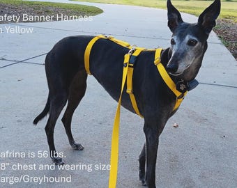 Houndstown Safety Banner (3-point) Harness, 24 Colors, 1” Width, Nickel Hardware, For Greyhounds, Galgos, Whippets and more