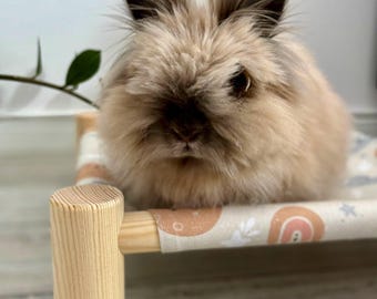 May include: A fluffy, light brown rabbit with long, tufted ears sits on a small, elevated wooden pet bed. The bed features a light-colored fabric sling printed with a pattern of small rainbows, stars, and leaves, supported by a natural wood frame.