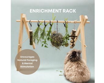 Enrichment Toys for Rabbit, Bunny Chew treat toy, Foraging Stand, Guinea Pig Food Holder,  Small Pet Feeder