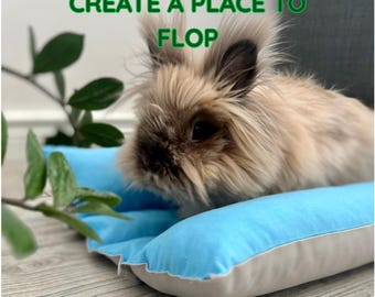 May include: A fluffy brown rabbit rests on a light blue and white pet bed. The text "CREATE A PLACE TO FLOP" is in green above the rabbit. Green leaves are in the background.