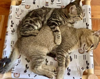 Wooden Cat Hammock Bed  |  Modern Elevated Cat Lounger for Cats, Kittens & Small Dogs – Handmade Solid Wood Pet Furniture