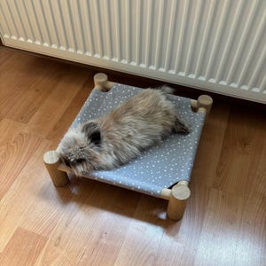 May include: A small, fluffy, light brown and cream-colored rabbit resting on a rectangular pet cot. The cot features a light gray fabric bed with a white star pattern, supported by a light-colored wooden frame with four cylindrical legs.