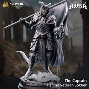 May include: A detailed figurine of a Tiefling Veteran Soldier, "The Captain," in full armor, holding a sword and a flag. The figure is gray with intricate details, including a shield and a long staff. The text "WELCOME TO THE ARENA" is visible.