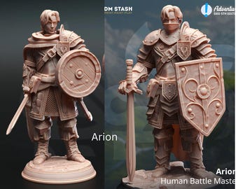 Character Progression Bundle | Low Level to High Level Mini Set | DnD Player Character Evolution Pack | TTRPG Miniatures | DMStash