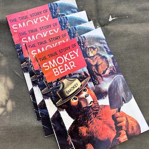 The True Story of Smokey Bear 1969 vintage Comic Book