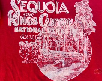 【専用】キングスキャニオン様 セコイアとキングスキャニオン国立公園のヴィンテージ 1970 年代
