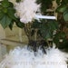 see more listings in the FEATHER TUTUS section