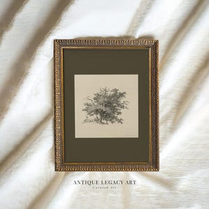 Vintage Baum Skizze Print, botanische Waldszene druckbare Wandkunst, Waldlandschaft Zeichnung Cottagecore Olivgrün Dekor Digital