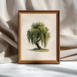 May include: A framed watercolor print of a weeping willow tree. The tree has a dark, twisted trunk and cascading green foliage. The artwork is set against a neutral background and framed in a dark wood frame. The text "ANTIQUE LEGACY" is at the bottom.