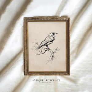 Könnte beinhalten: Gerahmter Kunstdruck mit einer detaillierten Schwarz-Weiß-Illustration einer Krähe auf einem Ast. Das Kunstwerk befindet sich vor einem beigefarbenen Hintergrund und ist in einem goldfarbenen, verzierten Rahmen gerahmt. Der Text "ANTIQUE LEGACY ART" ist unten sichtbar.