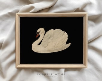 May include: A framed print featuring a white swan on a black background. The swan has a red beak and is set against a dark backdrop. The frame is a light wood color. The text "ANTIQUE LEGACY ART Curated Art" is at the bottom.