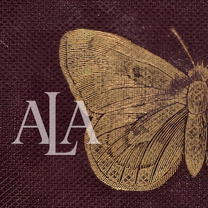 Antique Burgundy Gold Butterfly Print | Vintage Victorian Moth Wall Art Printable | Dark Academia Insect Decor, CottageCore Digital Download
