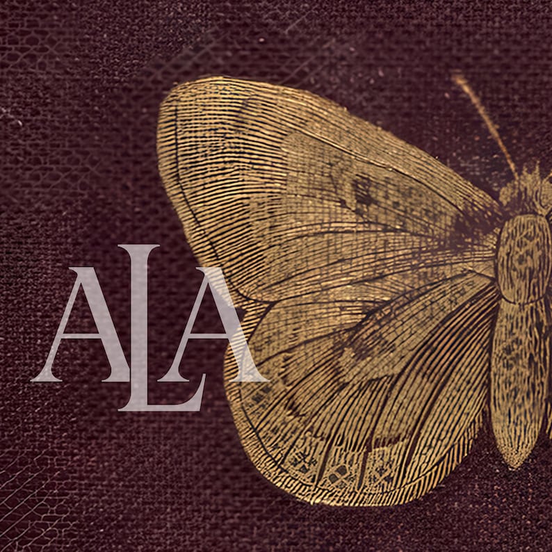 Antique Burgundy Gold Butterfly Print | Vintage Victorian Moth Wall Art Printable | Dark Academia Insect Decor, CottageCore Digital Download