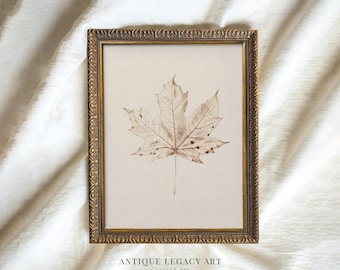 May include: A framed print featuring a detailed sepia-toned maple leaf. The leaf is centered on a cream-colored background, encased in a decorative gold-colored frame. The text "ANTIQUE LEGACY ART Curated Art" is at the bottom.