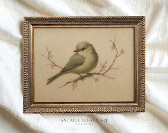 Könnte beinhalten: Ein antiker gerahmter Druck mit einer detaillierten Illustration eines kleinen Vogels auf einem blühenden Zweig. Der Vogel ist in weichen, gedämpften Tönen gehalten, vor einem hellbraunen Hintergrund. Der Rahmen ist mit einer Goldoberfläche verziert. Der Text "ANTIQUE LEGACY ART" steht unten.