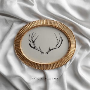 May include: An oval-shaped, gold-colored picture frame with a ridged border. Inside the frame is a print of two black deer antlers on a light background. The text "ANTIQUE LEGACY ART" is printed at the bottom.